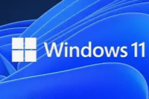 ws11
