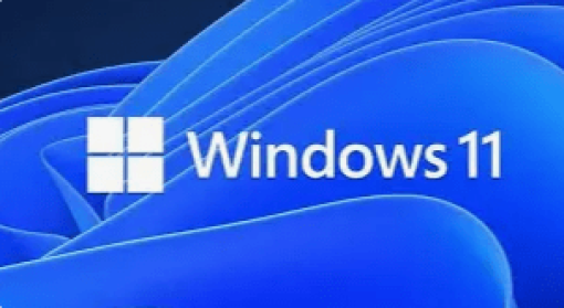 ws11